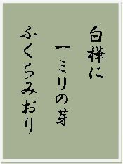 俳句・川柳のコーナー