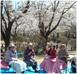 聖光寺　お花見