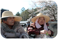 聖光寺　お花見