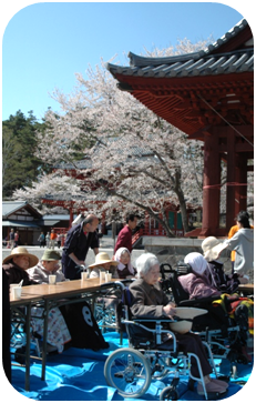 聖光寺　お花見