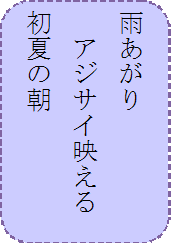 俳句・短歌のコーナー