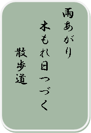 俳句・短歌のコーナー