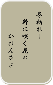 俳句・短歌のコーナー