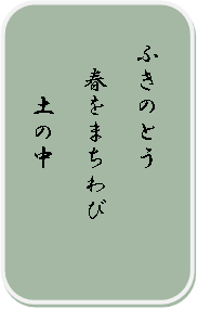 俳句・短歌のコーナー