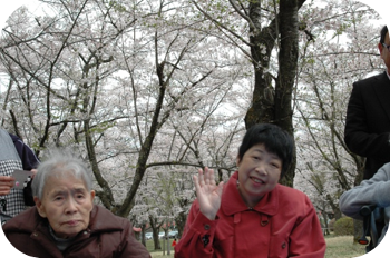 聖光寺へお花見に行ってきました