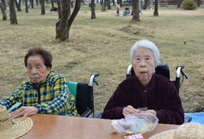 聖光寺へお花見