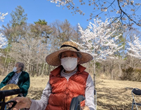 聖光寺にてお花見をしました！