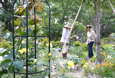 エクセレントライフ蓼科の庭園